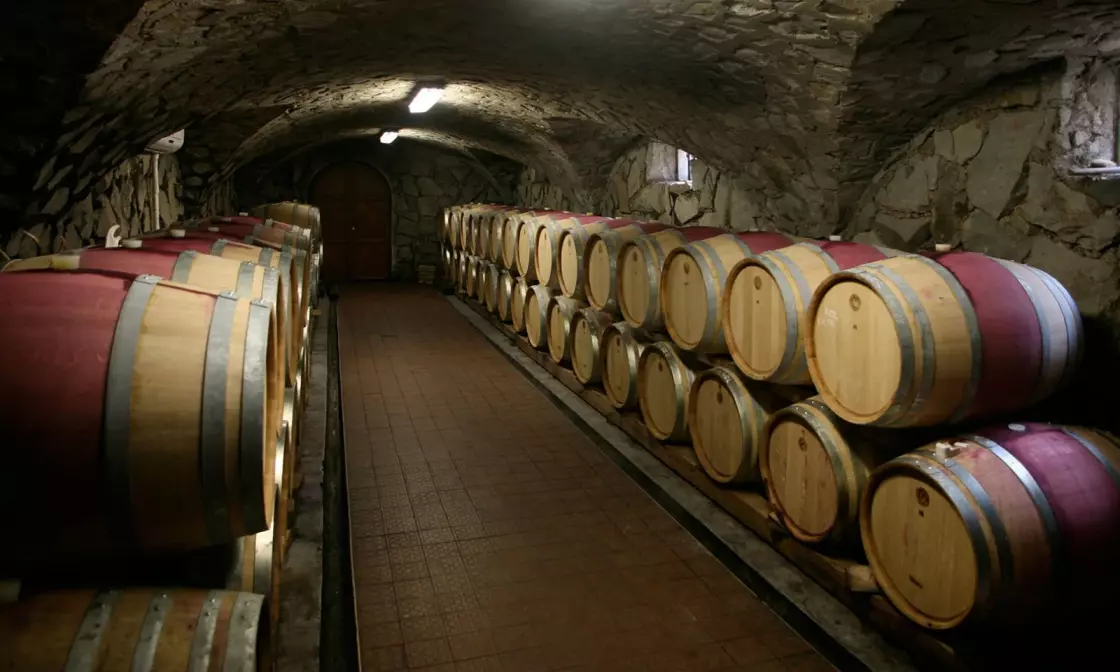 Pavelka vino