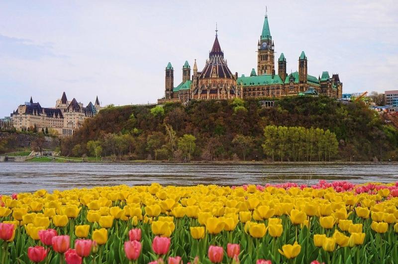 The Canadian Tulip Festival