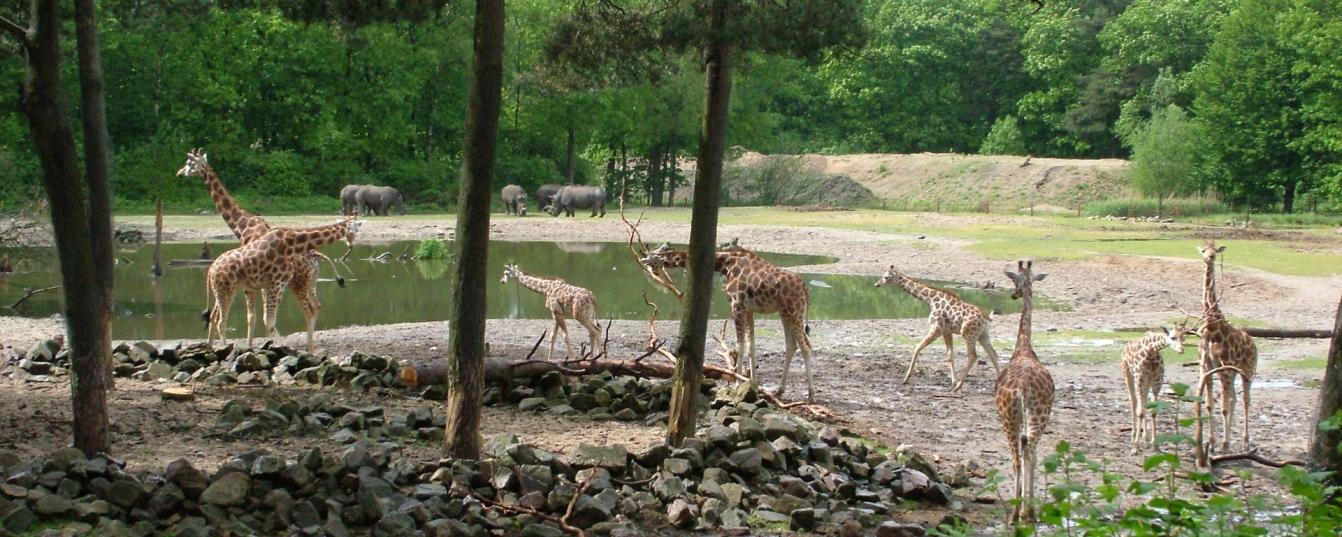 Burgers`zoo