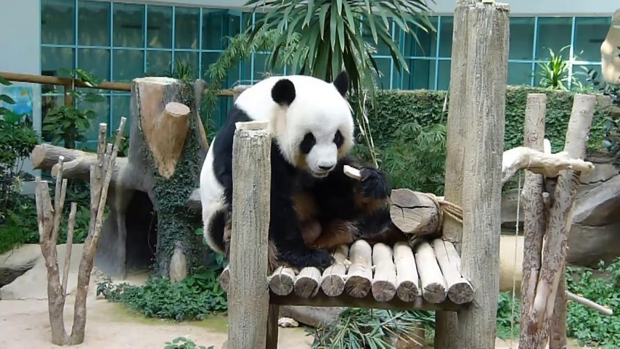 Zoo Negara Malaysia