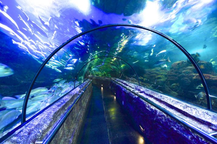 Sea World Ancol