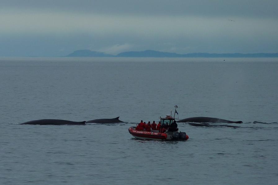 Isla Grande de Tierra del Fuego