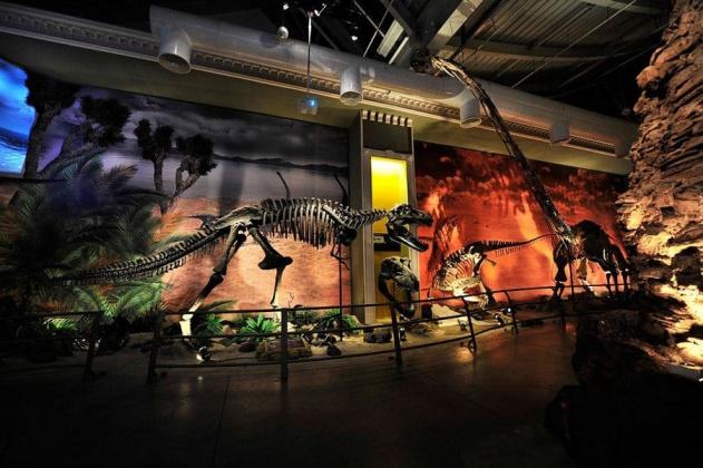 Jurassic Land