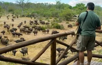Kruger National Park