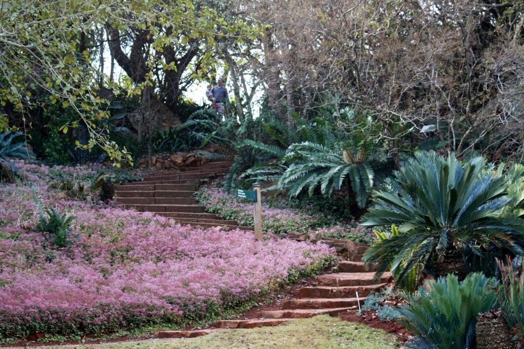Pretoria National Botanical Gardens