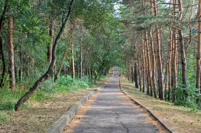 Перкальский дендрологический парк