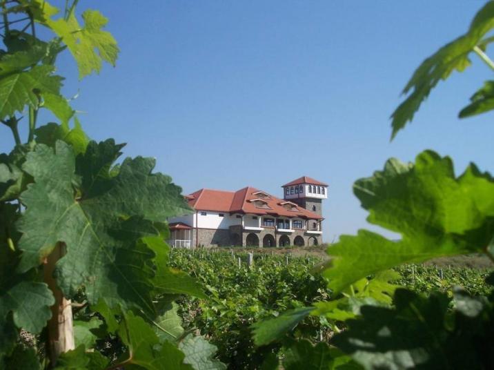 Winery Popova Kula