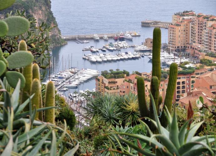 Exotic Garden of Monaco