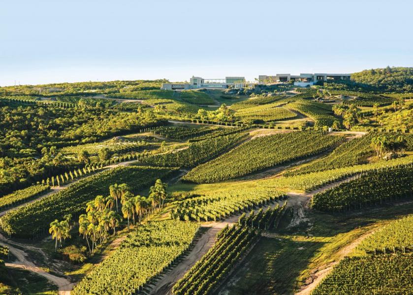 Bodega Garzоn