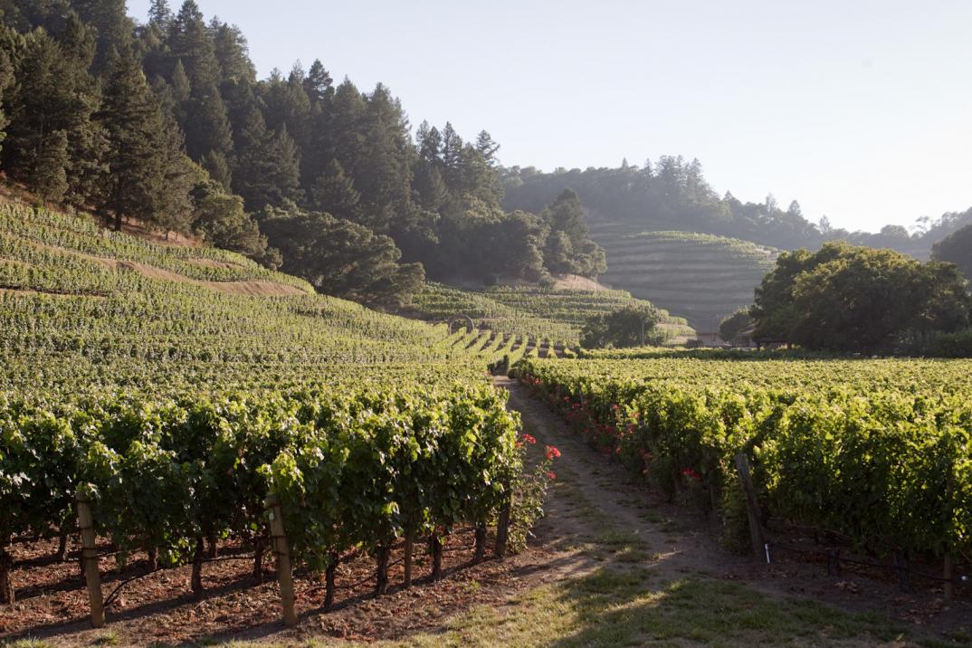 Russian River Valley Winegrowers