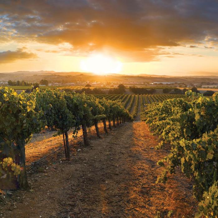Paso Robles