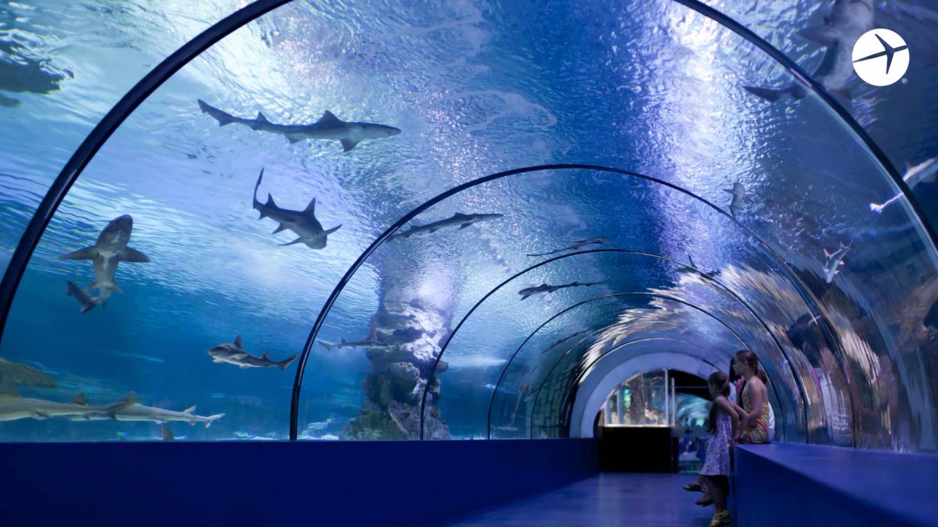 Ailand Aqua Park