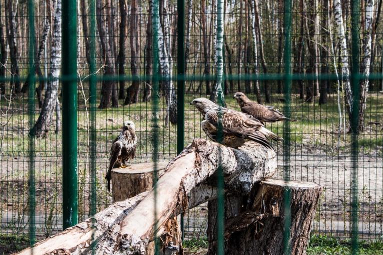 Белгородский зоопарк