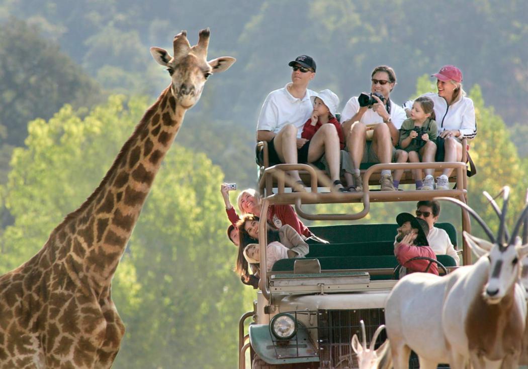 Safari West в Санта-Роса