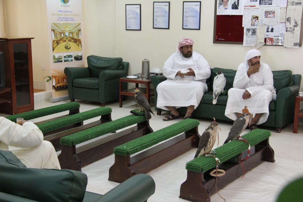 Abu Dhabi Falcon Hospital