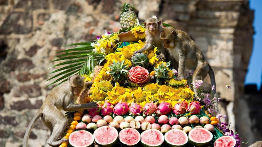 Lopburi Monkey Banquet