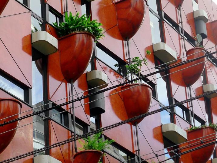 Organic Building